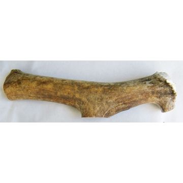 Reindeer Flintknap 800