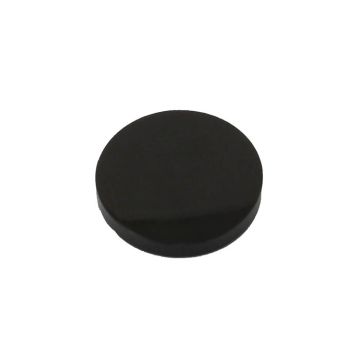 Buffalo coin