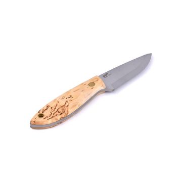 Bobtail Curly Birch