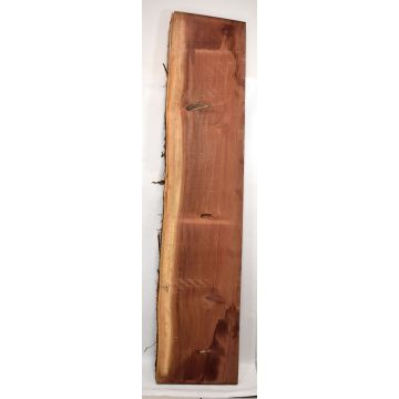 Redwood #1